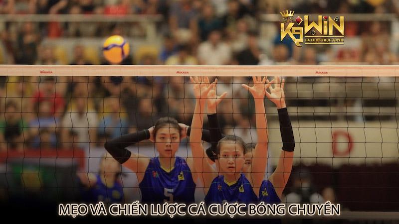 Mẹo và chiến lược cá cược bóng chuyền